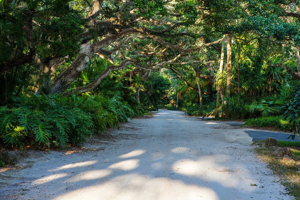 Vero Beach Gallery - 020-XL.jpg