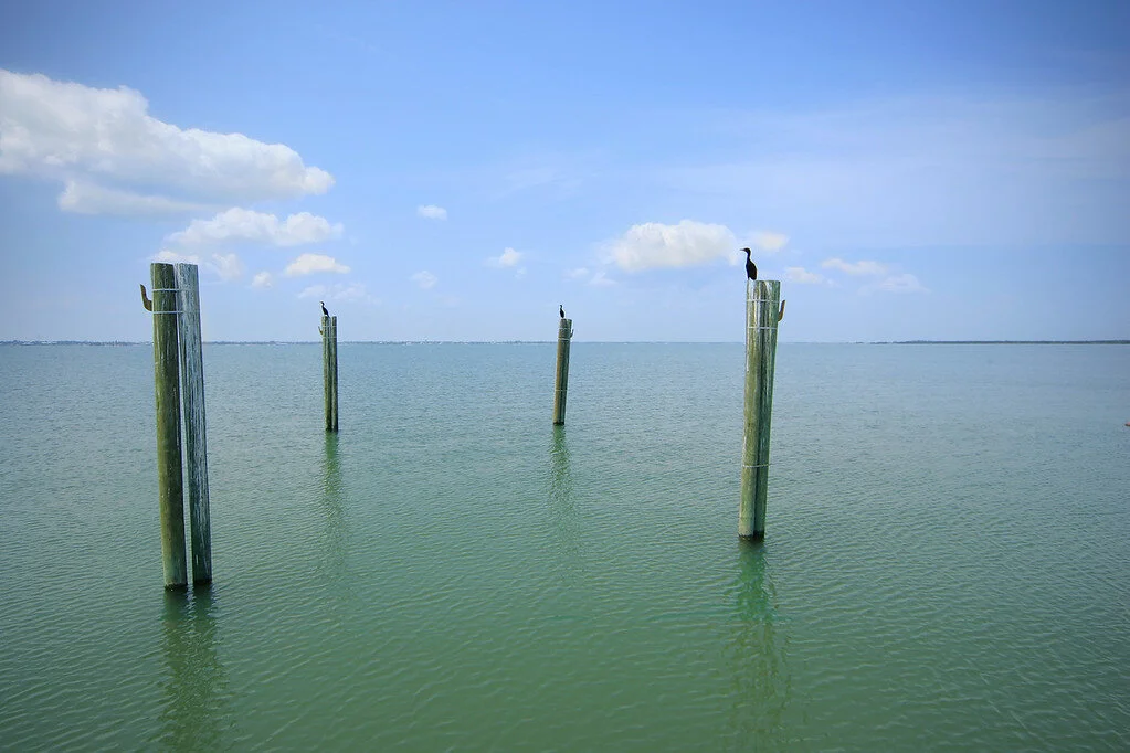 Vero Beach Gallery - 033-XL.jpg
