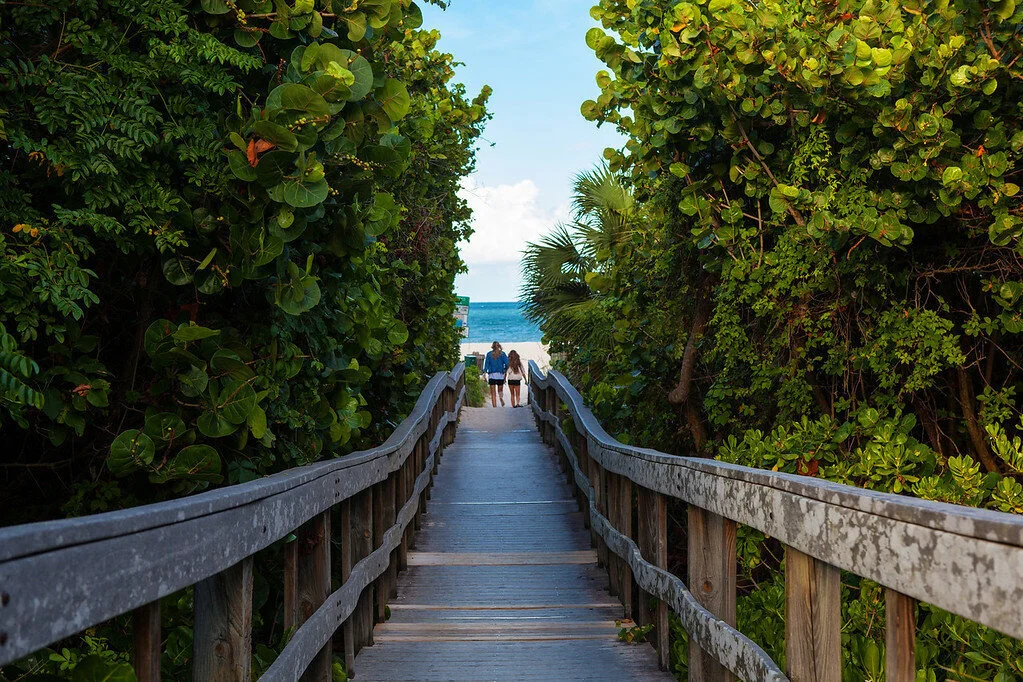Barrier Island / 32963