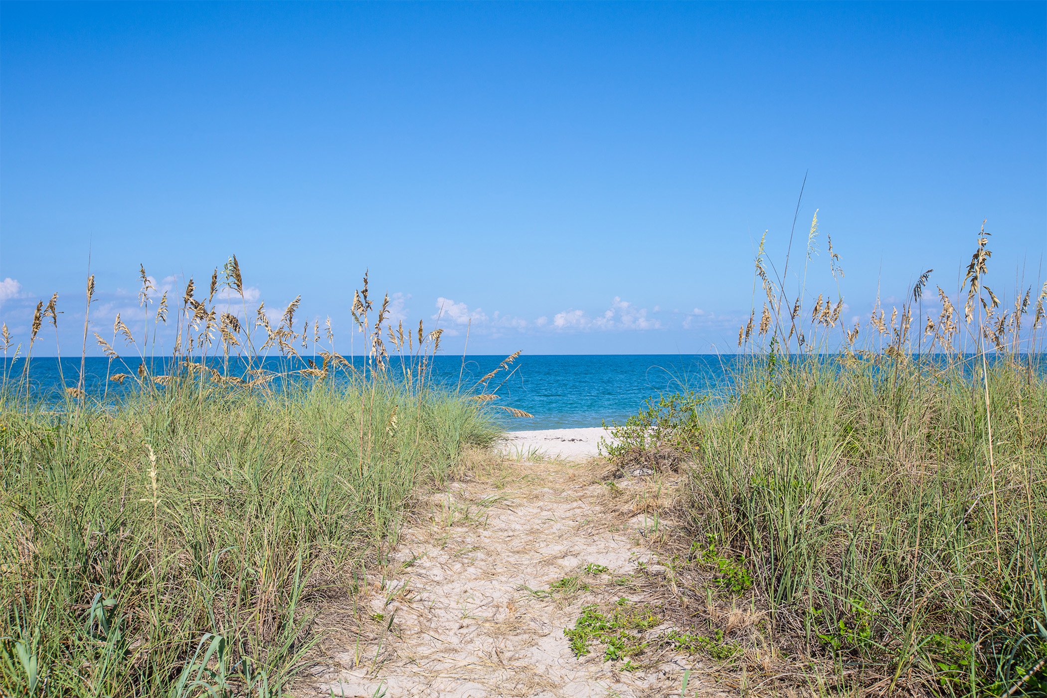 Vero Beach's Atlantic shoreline — the same coast as Palm Beach, with significantly less density.